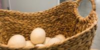 Complimentary wool dryer balls with every dry